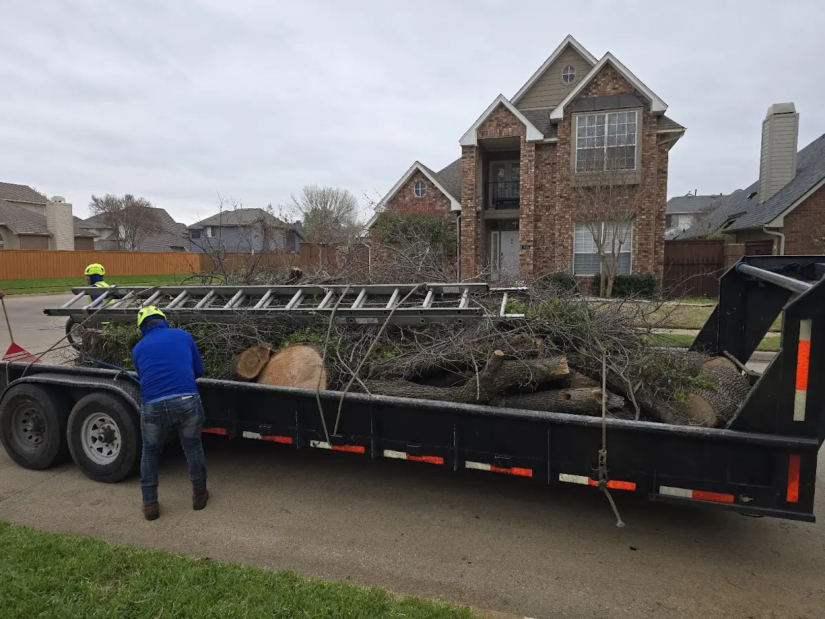 Expert Tree Fertilization with proper safety equipment in Ridgeway